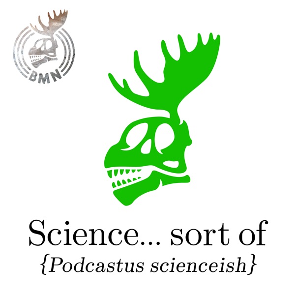 Cover of Stochasticity (RadioLab episode)